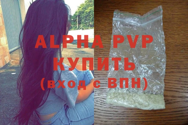 индика Арсеньев