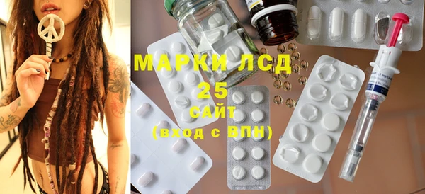 индика Арсеньев
