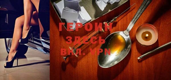 индика Арсеньев