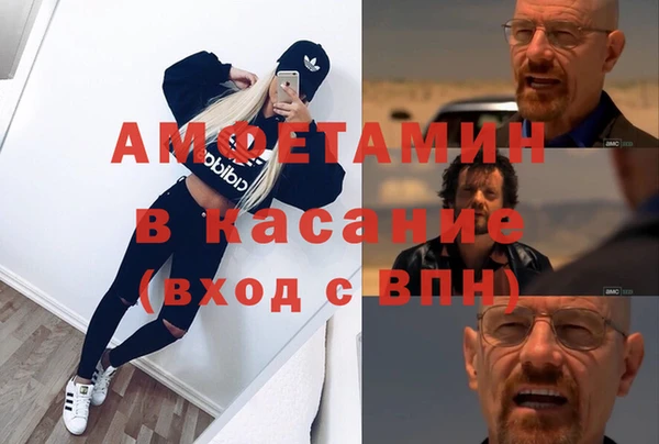 индика Арсеньев