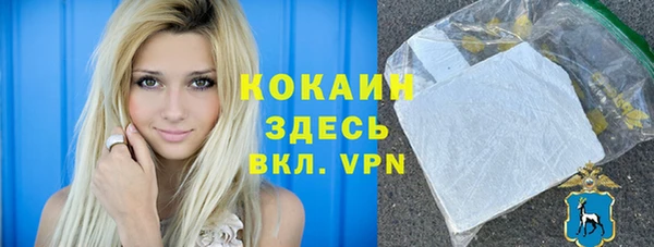 индика Арсеньев