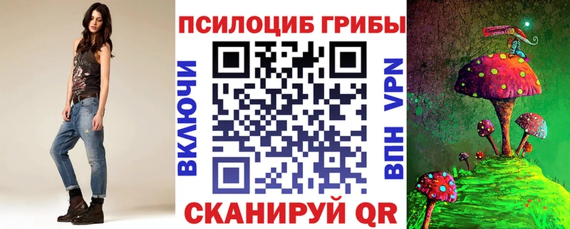Купить  Асбест  Псилоцибиновые грибы Psilocybine cubensis 